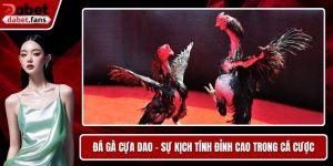 Đá Gà Cựa Dao