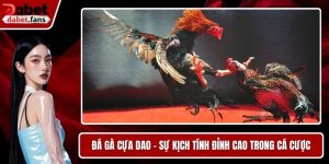 Đá Gà Nòi
